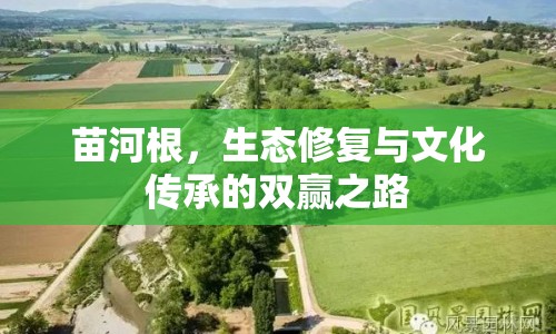 苗河根，生態(tài)修復與文化傳承的雙贏之路