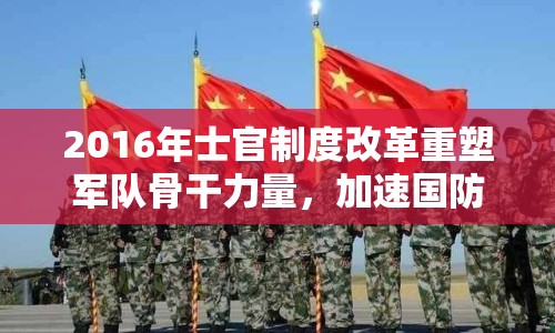 2016年士官制度改革重塑軍隊(duì)骨干力量，加速國防現(xiàn)代化建設(shè)步伐