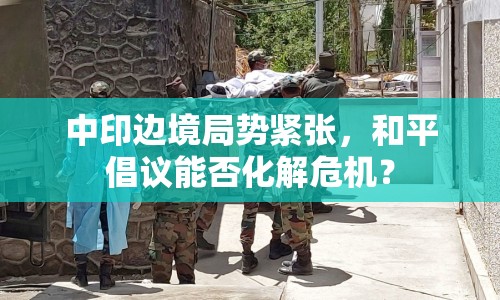 中印邊境局勢緊張，和平倡議能否化解危機？