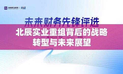 北辰實(shí)業(yè)重組背后的戰(zhàn)略轉(zhuǎn)型與未來展望