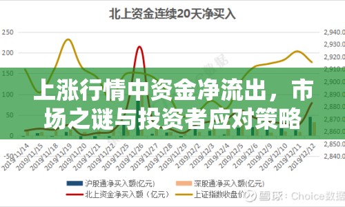 上漲行情中資金凈流出，市場(chǎng)之謎與投資者應(yīng)對(duì)策略