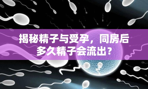 揭秘精子與受孕，同房后多久精子會(huì)流出？