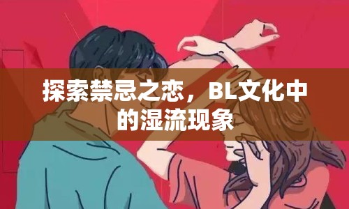 探索禁忌之戀，BL文化中的濕流現象