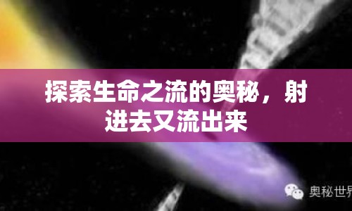 探索生命之流的奧秘，射進(jìn)去又流出來(lái)