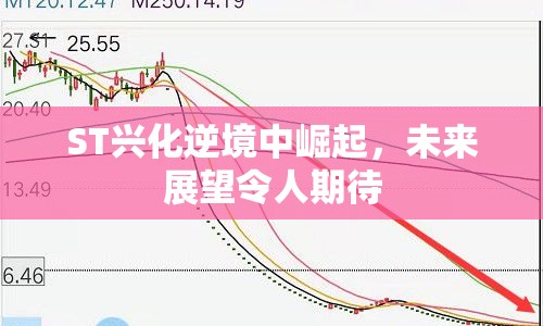 ST興化逆境中崛起，未來展望令人期待