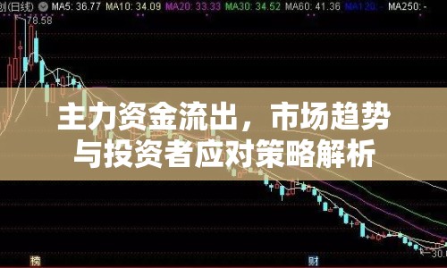 主力資金流出，市場趨勢與投資者應(yīng)對策略解析