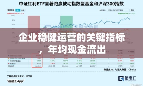 企業(yè)穩(wěn)健運營的關(guān)鍵指標，年均現(xiàn)金流出