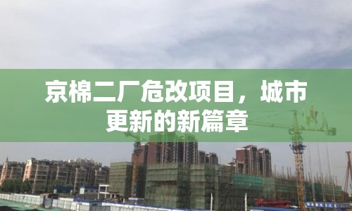 京棉二廠危改項目，城市更新的新篇章