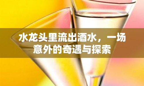 水龍頭里流出酒水，一場意外的奇遇與探索