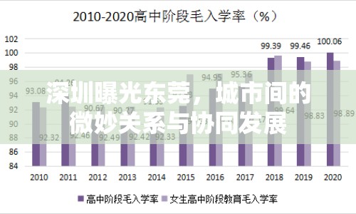 深圳曝光東莞，城市間的微妙關(guān)系與協(xié)同發(fā)展