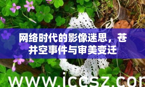 網(wǎng)絡(luò)時(shí)代的影像迷思，蒼井空事件與審美變遷