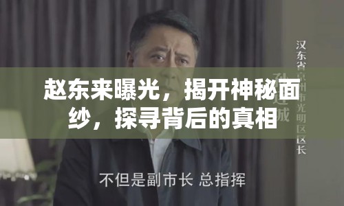 趙東來曝光，揭開神秘面紗，探尋背后的真相