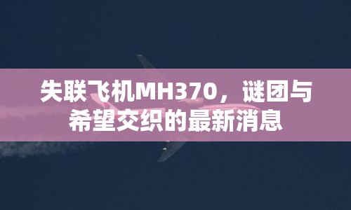 失聯(lián)飛機(jī)MH370，謎團(tuán)與希望交織的最新消息