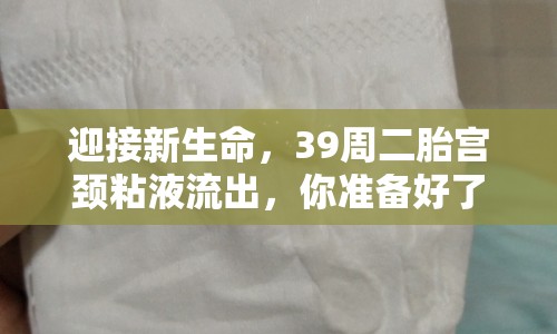 迎接新生命，39周二胎宮頸粘液流出，你準(zhǔn)備好了嗎？