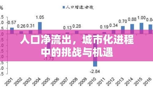 人口凈流出，城市化進程中的挑戰(zhàn)與機遇