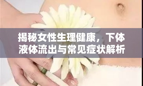 揭秘女性生理健康，下體液體流出與常見癥狀解析