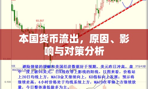 本國貨幣流出，原因、影響與對策分析