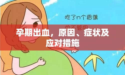 孕期出血，原因、癥狀及應對措施