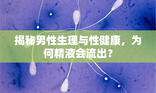 揭秘男性生理與性健康，為何精液會(huì)流出？