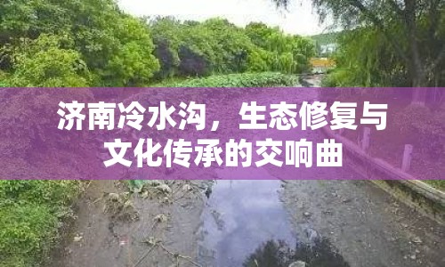 濟南冷水溝，生態(tài)修復(fù)與文化傳承的交響曲