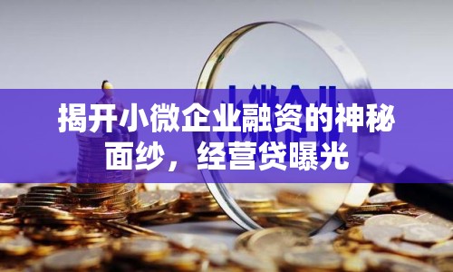 揭開小微企業(yè)融資的神秘面紗，經(jīng)營貸曝光