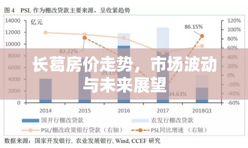 長葛房價(jià)走勢，市場波動與未來展望