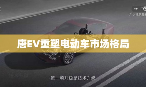 唐EV重塑電動車市場格局