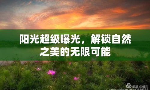 陽(yáng)光超級(jí)曝光，解鎖自然之美的無(wú)限可能