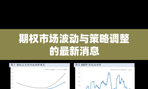 期權(quán)市場波動與策略調(diào)整的最新消息