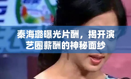 秦海璐曝光片酬，揭開演藝圈薪酬的神秘面紗