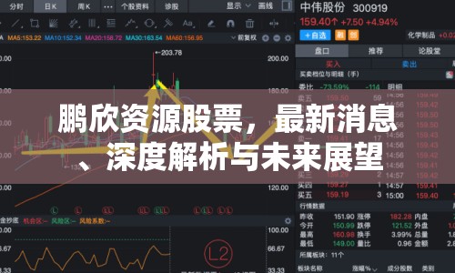 鵬欣資源股票，最新消息、深度解析與未來展望