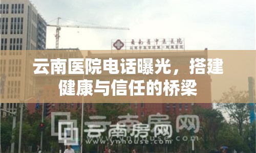 云南醫(yī)院電話曝光，搭建健康與信任的橋梁