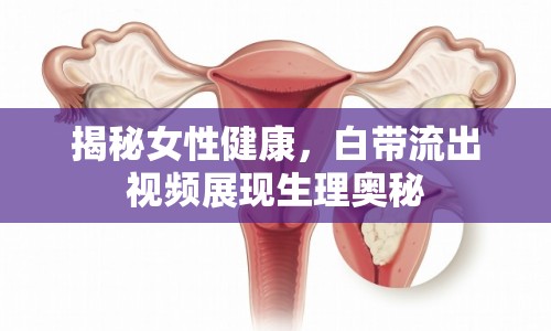 揭秘女性健康，白帶流出視頻展現(xiàn)生理奧秘