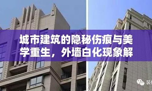 城市建筑的隱秘傷痕與美學(xué)重生，外墻白化現(xiàn)象解析