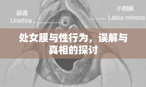 處女膜與性行為，誤解與真相的探討