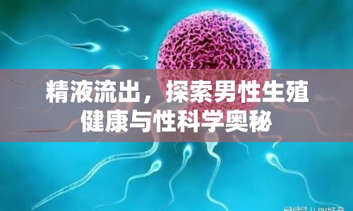 精液流出，探索男性生殖健康與性科學(xué)奧秘