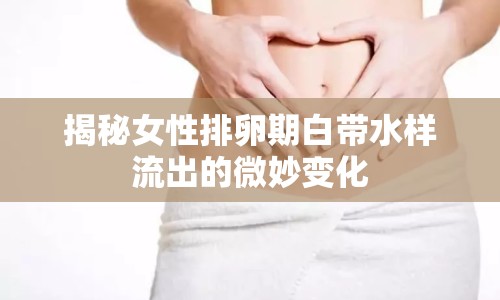 揭秘女性排卵期白帶水樣流出的微妙變化