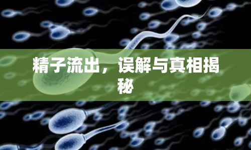 精子流出，誤解與真相揭秘