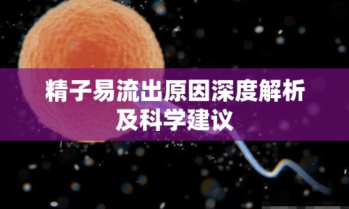 精子易流出原因深度解析及科學(xué)建議