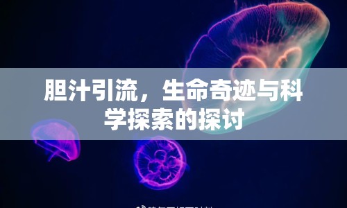 膽汁引流，生命奇跡與科學(xué)探索的探討