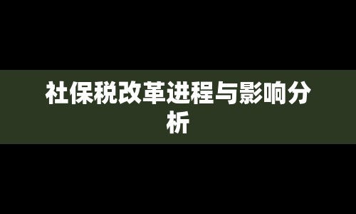 社保稅改革進(jìn)程與影響分析