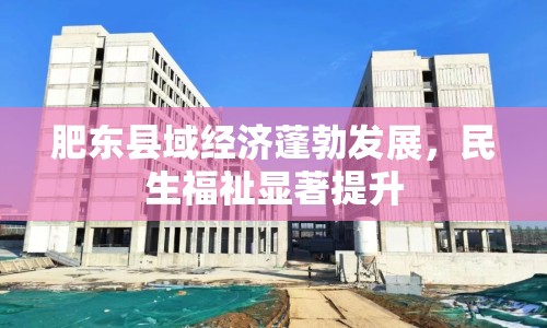 肥東縣域經濟蓬勃發(fā)展，民生福祉顯著提升