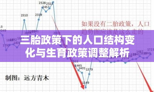 三胎政策下的人口結(jié)構(gòu)變化與生育政策調(diào)整解析