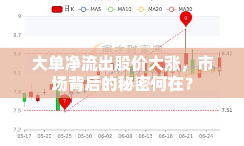 大單凈流出股價(jià)大漲，市場背后的秘密何在？