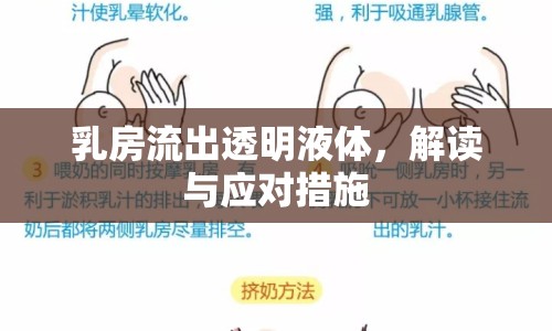 乳房流出透明液體，解讀與應對措施