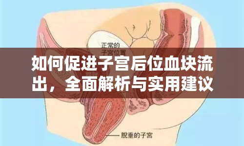 如何促進子宮后位血塊流出，全面解析與實用建議