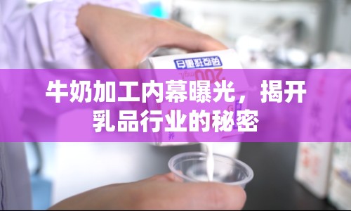 牛奶加工內(nèi)幕曝光，揭開乳品行業(yè)的秘密