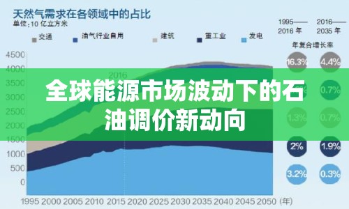 全球能源市場波動下的石油調(diào)價新動向