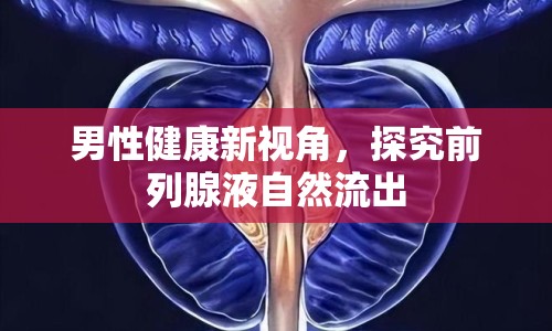 男性健康新視角，探究前列腺液自然流出