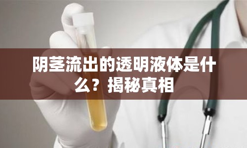 陰莖流出的透明液體是什么？揭秘真相